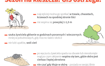 Uwaga kleszcze!!!!!!