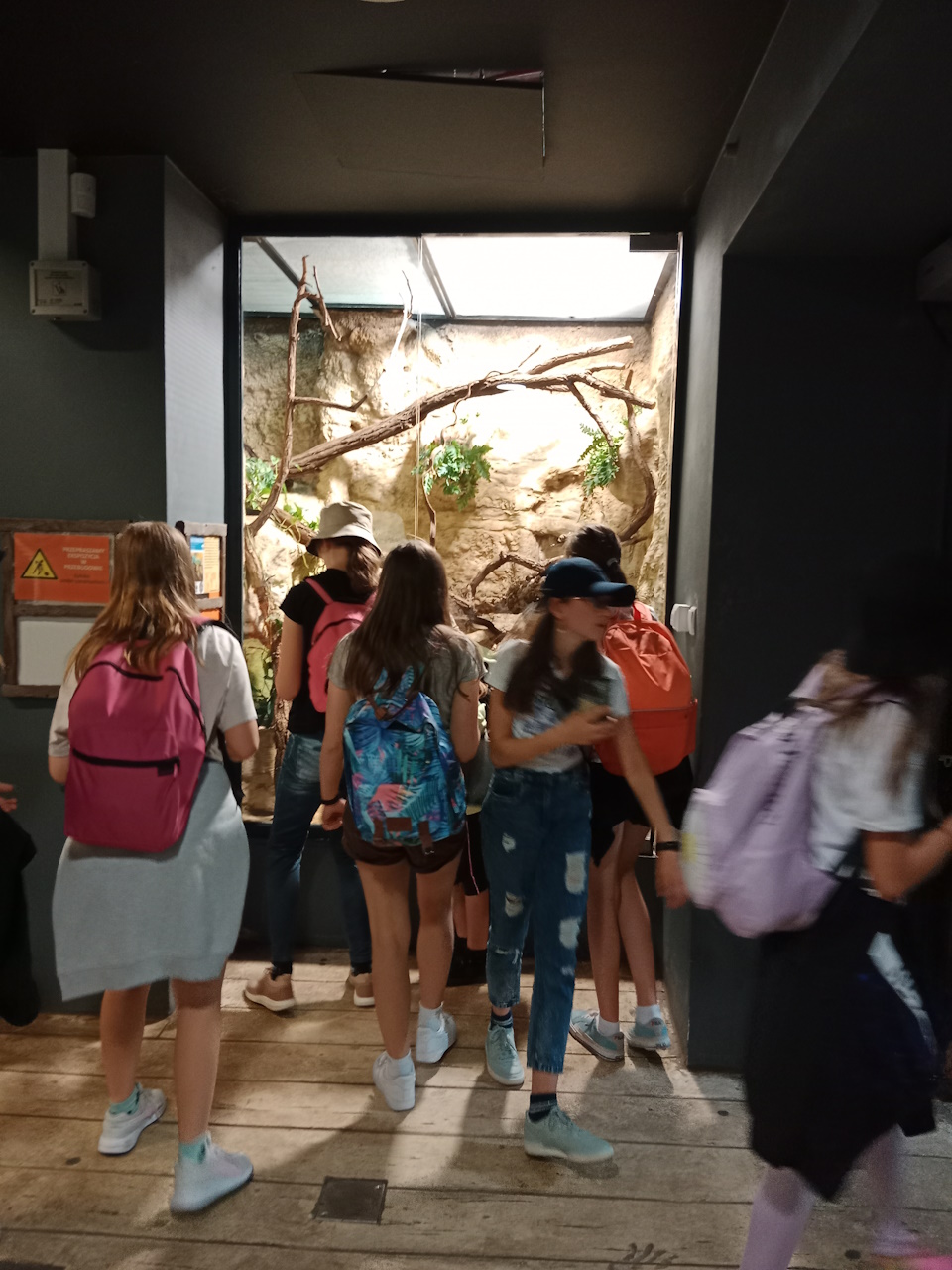 Uczniowie klasy IV a i V w ZOO