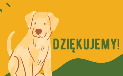 Finał zbiórki karmy dla zwierząt ze schroniska!