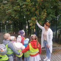 Misie poznają najbliższą okolicę