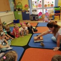 Przygotowujemy zapasy na zimowe czasy - Misie