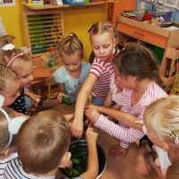 Przygotowujemy zapasy na zimowe czasy - Misie