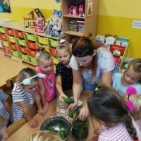Przygotowujemy zapasy na zimowe czasy - Misie