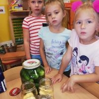 Przygotowujemy zapasy na zimowe czasy - Misie