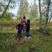 Wyjście do lasu (1)
