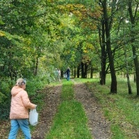 Wyjście do lasu (6)