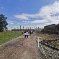 Muzeum Auschwitz-Birkenau (3)
