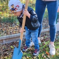 Dzień Drzewa w grupie Smerfy (4)