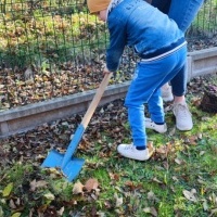 Dzień Drzewa w grupie Smerfy (8)