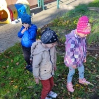Dzień Drzewa w grupie Smerfy (4)