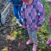 Dzień Drzewa w grupie Smerfy (7)