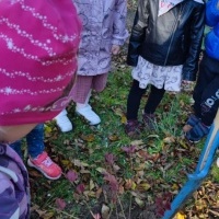 Dzień Drzewa w grupie Smerfy (9)
