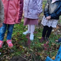 Dzień Drzewa w grupie Smerfy (10)