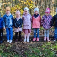 Dzień Drzewa w grupie Smerfy (11)