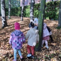 Dzień Drzewa w grupie Smerfy (12)