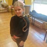 Gady i płazy (9)