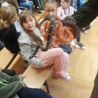 Gady i płazy (4)