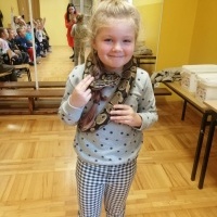 Gady i płazy (7)