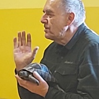 Gady i płazy (6)