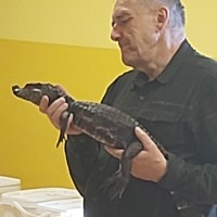 Gady i płazy (11)