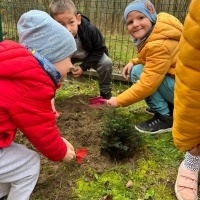 Dzień Drzewa w grupie Misie (3)