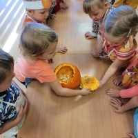 Dzień Dyni (9)