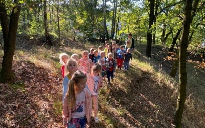 Jesień w lesie - Żabki (12)