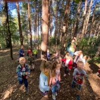 Jesień w lesie - Żabki (8)