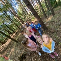 Jesień w lesie - Żabki (10)