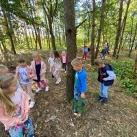 Jesień w lesie - Żabki (11)
