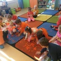 Dzień Marchewki - Żabki