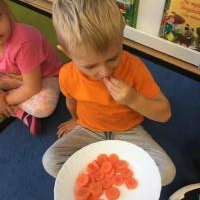 Dzień Marchewki - Żabki