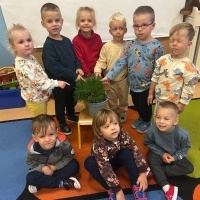 Światowy Dzień Drzewa (4)