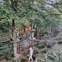 Park linowy (11)