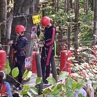 Park linowy (11)