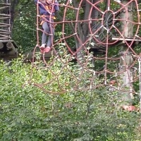 Park linowy (4)