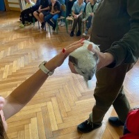 Pan Pająk - żywa lekcja przyrody (7)