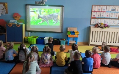 Dzień Kota (5)