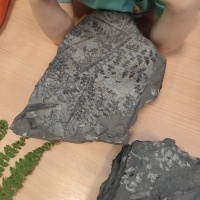 Dzień Dinozaura w przedszkolu (5)