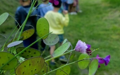 Klasa w terenie - zadanie 5 Tworzenie katalogu roślin (6)