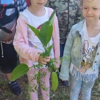 Klasa w terenie - zadanie 5 Tworzenie katalogu roślin (5)