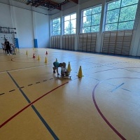 Narodowy Dzień Sportu w przedszkolu (7)