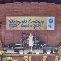 Dożynki Gminne w Godowie 2024 (14)