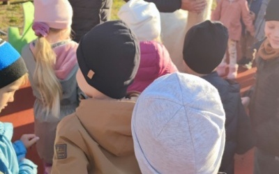 Spotkanie z alpaką (8)