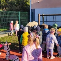 Spotkanie z alpaką (5)
