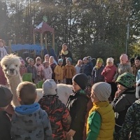 Spotkanie z alpaką (6)