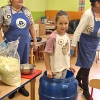 Kiszenie kapusty z Kołem Gospodyń Wiejskich z Godowa (6)