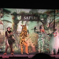 Safari - przedstawienie teatralne (2)